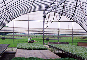 SG-02 圓拱型簡固溫室