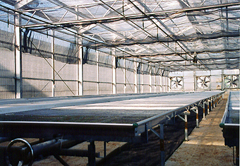 SG-03 小山型精密溫室