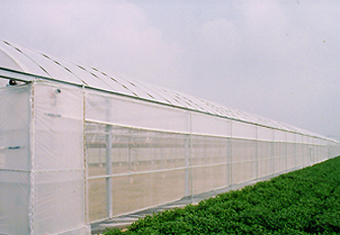 SG-05 加強型簡易溫室