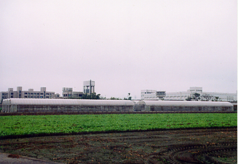 SG-05 加強型簡易溫室