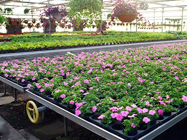 環境控制設計/工程