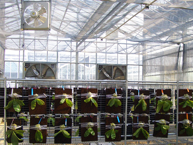 環境控制設計/工程