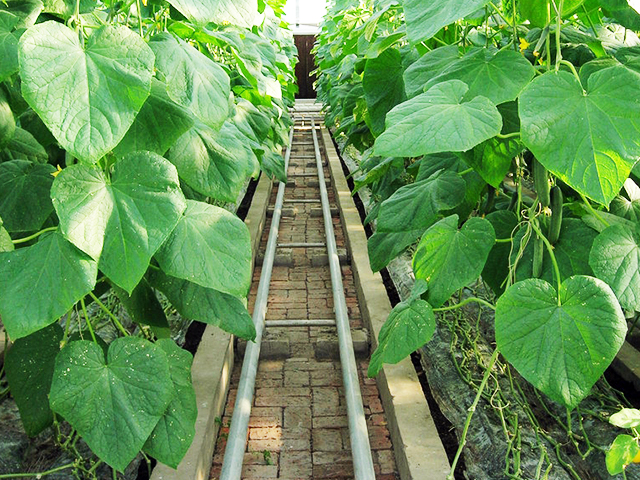 環境控制設計/工程