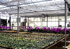 SP-06溫室植床設施系統