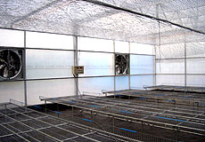 SP-06溫室植床設施系統