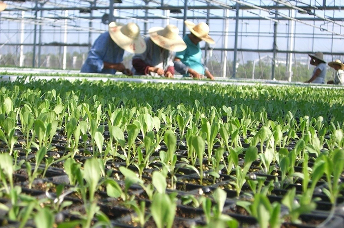 協錱園藝設計有限公司